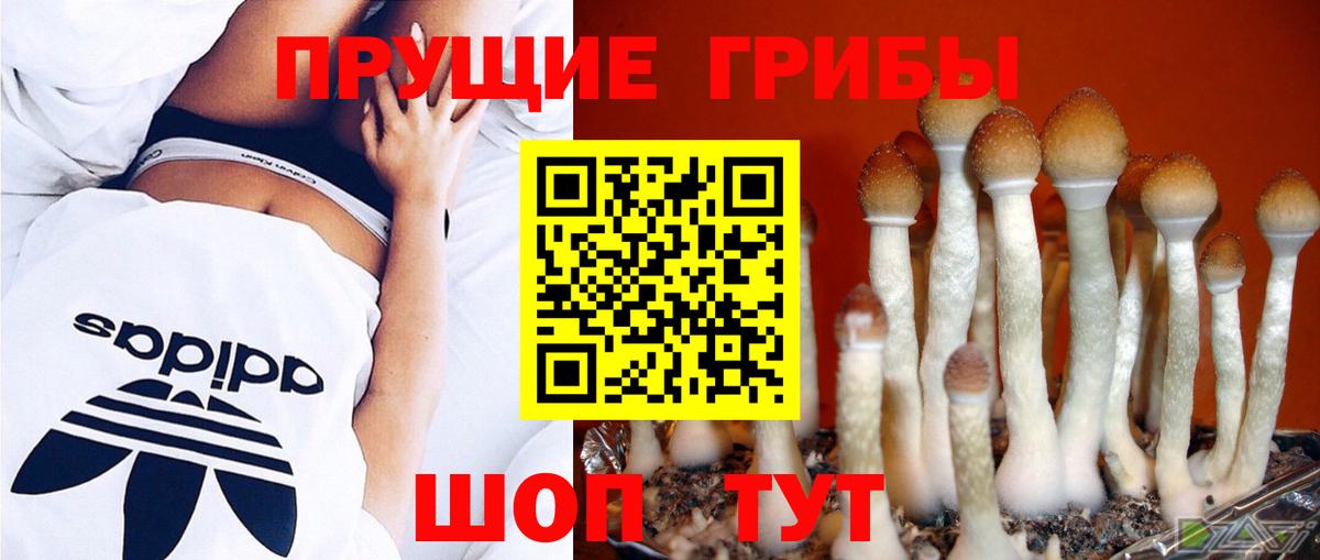 Лесозаводск  наркота  Вход с VPN  Псилоцибиновые грибы Psilocybine cubensis  Галлюциногенные грибы Psilocybe 